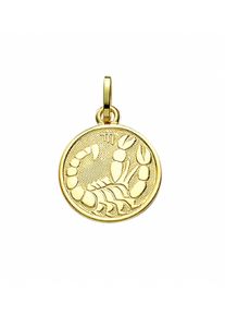 Adelia´s ADELIA ́S Damen Ketten-Anhänger "Damen & Herren 333 Gold Sternzeichen Anhänger Skorpion Ø 11,8 mm", Damen, Skorpion, Gelbgold 333-Gold, gold, Gelbgold
