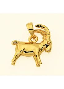 Adelia´s ADELIA ́S Damen Ketten-Anhänger "Damen & Herren 585 Gold Sternzeichen Anhänger Steinbock", Damen, Steinbock, Gelbgold 585-Gold, gold, Gelbgold 585,