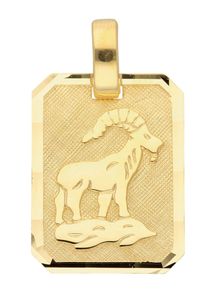 Adelia´s ADELIA ́S Damen Ketten-Anhänger "333 Gold Sternzeichen Anhänger Steinbock", Steinbock, Gold, gold, Gold, Schmuckanhänger, Goldschmuck für Damen &