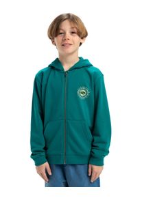 Quiksilver Kinder Kapuzensweatjacke "Graphic", grün, Gr. 16, 55% Baumwolle, 45% Polyester, Sweatjacken