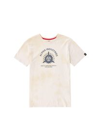 Herren T-Shirt "Alpha Industries Men - T-Shirts Vintage Aviation T-Shirt", grau, Gr. S, Alpha Industries, Obermaterial: 100% Baumwolle, Shirts
