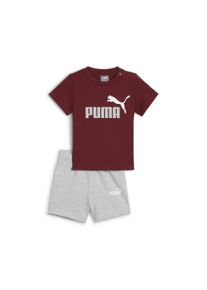 Puma Kinder Trainingsanzug "MINICATS TEE & SHORTS SET", rot, sportlich, Gr. 62, bedruckt, Jersey, Obermaterial: 100% Baumwolle, Sportanzüge