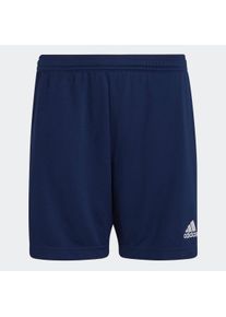 Kinder Trainingsshorts "ENT22 TR SHOY", blau, sportlich, Gr. 140, adidas Performance, Obermaterial: 100% Polyester, Hosen