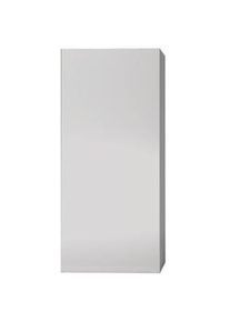 Wolf Garten Wolf Warmwasser-Schichtenspeicher TS-160 Inhalt 160L, für Ölbrennwertkessel 8908101