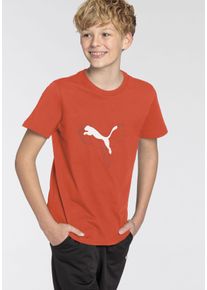 Puma Kinder T-Shirt "ESS+ LOGO LAB GRAPHIC TEE B", rot, sportlich, Gr. 164, bedruckt, Jersey, Obermaterial: 100% Baumwolle, Shirts, Für Kinder und