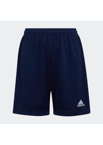 Kinder Trainingsshorts "ENT22 SHO Y", blau, sportlich, Gr. 140, adidas Performance, Obermaterial: 100% Polyester, Hosen