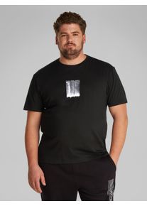 Herren T-Shirt "PLUS BRUSH STROKE GRAPHIC TEE", schwarz, casual, Gr. XXL, Calvin Klein Jeans Plus, unifarben, Single Jersey, Obermaterial: 100%
