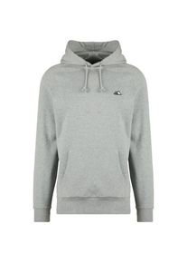 Bergfreunde Bergfreunde Hoody Hoodie Herren (Gr XXL |grau)