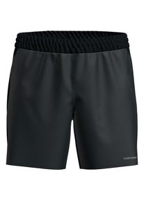 Icebreaker Merino 125 Zoneknit Speed 6 Shorts Shorts Herren (Gr XXL |schwarz)