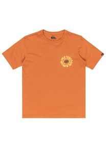 T-Shirt Quiksilver Evo Roads End S/S Kinder (Gr 16 Years |orange)