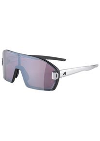Sonnenbrille Alpina Bonfire Mag Q S1 + S3 (grau)