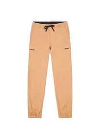 Trekkinghose PICTURE Alpho Pants Herren (Gr 38 |beige)