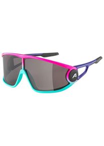 Alpina Legend Cat. 3 Sonnenbrille (grau)
