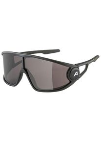 Sonnenbrille Alpina Legend Cat. 3 (grau)
