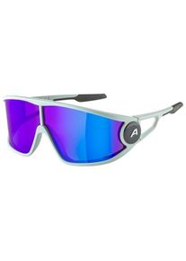 Alpina Legend Q-Lite Cat. 3 Sonnenbrille (bunt)