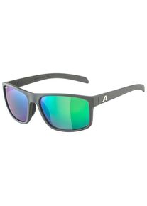 Sonnenbrille Alpina Nacan I Polarized Mirror S3 (grau)
