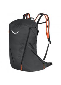 Salewa Pedroc Pro 22 Wanderrucksack (grau)