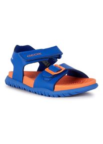 Geox Kinder Badesandale "J SANDAL FOMMIEX BOY", Gr. 36, blau, Synthetik, sportlich, Schuhe, Sommerschuh, Poolslides, Klettschuh, mit Klettverschluss