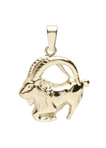 OSTSEE-SCHMUCK Damen Ketten-Anhänger "OSTSEE-SCHMUCK Anhänger Tierkreiszeichen Steinbock", 26 x 18mm, Silber 925 (Sterlingsilber), 1.8 g, gelb,
