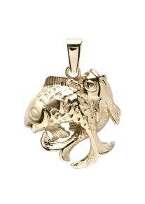 OSTSEE-SCHMUCK Damen Ketten-Anhänger "OSTSEE-SCHMUCK Anhänger Tierkreiszeichen Fische", 25 x 18mm, Gelbgold 333, 2.2 g, gelb, Gelbgold 333,