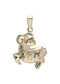 OSTSEE-SCHMUCK Damen Ketten-Anhänger "OSTSEE-SCHMUCK Anhänger Tierkreiszeichen Widder", 25 x 17mm, Silber 925 (Sterlingsilber), 2.2 g, gelb, Silber