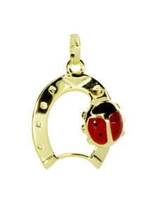 OSTSEE-SCHMUCK Damen Ketten-Anhänger "OSTSEE-SCHMUCK Anhänger Hufeisen mit Marienkäfer", 21 x 14mm, Gelbgold 333, 0.8 g, gelb, Gelbgold 333,