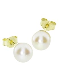 OSTSEE-SCHMUCK Damen Paar Ohrstecker "OSTSEE-SCHMUCK Ohrstecker Klassisch 8 mm", 8mm rund, Gelbgold 333, gelb, Gelbgold 333, Ohrringe