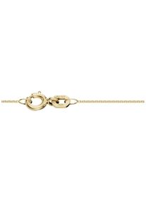 Firetti Damen Collierkettchen "Schmuck Geschenk Silber 925 Rundankerkettengl. in mehreren Breiten", 50, Silber 925 (Sterlingsilber), B: 0,8mm, gold,
