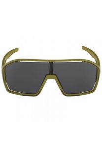 Sonnenbrille Alpina Bonfire Cat. 3 (grau)