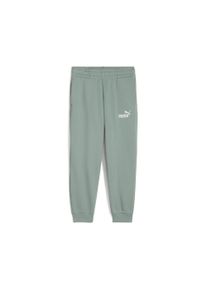 Puma Kinder Sporthose "ESS No. 1 Logo Fleece-Jogginghose Jungen", grün, Gr. 122, unifarben, Obermaterial: 66% Baumwolle, 34% Polyester; Rippe: 3%