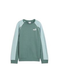 Puma Kinder Sweatshirt "SPORT CREW TR G", grün, sportlich, Gr. 176, unifarben, Sweatware, Obermaterial: 68% Baumwolle, 32% Polyester, Sweatshirts