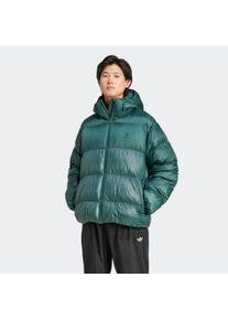 Herren Outdoorjacke "DOWN REGEN ADIC", grün, sportlich, Gr. XL, adidas originals, Obermaterial: 100% Polyamid, Jacken