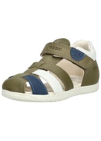 Geox Kinder Klettschuh "Geox Halbschuhe Leder/Synthetik", Gr. 22, grün, Leder, Synthetik, casual, Schuhe