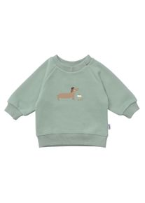 Liliput Herren Sweatshirt "Dackel", grün, Gr. 62, bedruckt, 80% Baumwolle, 20% Polyester, Sweatshirts, mit niedlichem Dackel-Print