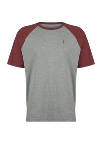 Funktionsshirt NIKIN TreeShirt Raglan Relaxed Colorblock Coffee (Gr XXL |grau)