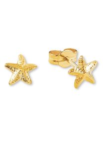 Amor Mädchen Paar Ohrstecker "Stern, 2013371", Gelbgold 375, gold, Gelbgold 375, Ohrringe