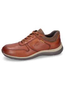 Camel Active Herren Schnürschuh, Gr. 42, braun, Leder, Basic, Schuhe, Halbschuh, Freizeitschuh mit gepolsterte Innensohle