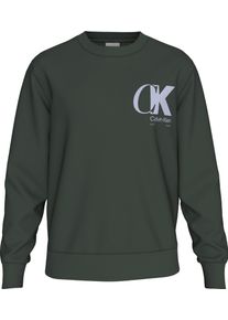 Calvin Klein Herren Sweatshirt "LS EU 350TERRY CK OVERLAP GRAPHI", grün, casual, Gr. XXL, unifarben, Sweatware, Obermaterial: 100% Baumwolle,