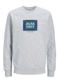 Jack & Jones PlusSize Herren Sweatshirt "JJHUDSON SWEAT CREW NECK PLS", grau, modisch, Gr. 5XL, JACK & JONES PLUSSIZE, bedruckt, angeraute Sweatware, Obermaterial: 100%