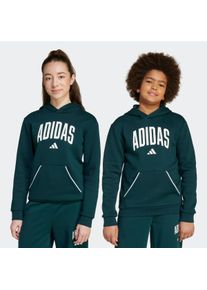 Kinder Kapuzensweatshirt "J CLGT OH FL HD"aurora ivy, weiß, sportlich, Gr. 176, adidas Sportswear, Obermaterial: 55% Baumwolle, 36% Polyester, 9%