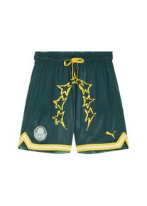 Puma Herren Shorts "Puma HOOPS x SE PALMEIRAS Basketballshorts Herren"malachite jade grün aop, Gr. M, Innenmaterial: 100% Polyester; Außenseite: 100%