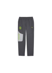Puma Herren Sporthose "Manchester City PumaTECH Jogginghose Herren"galactic gray pro grün, Gr. XXL, Obermaterial: 23% Polyester, 77% Baumwolle;