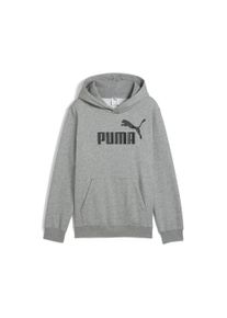 Puma Kinder Hoodie "ESS No. 1 Logo Fleece-Hoodie Jungen", grau, Gr. 128, Obermaterial: 34% Polyester, 66% Baumwolle; Kapuzenfutter: 100% Baumwolle;