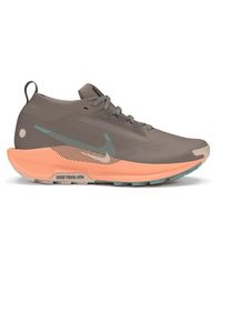 Multisportschuhe Nike Pegasus Trail 5 GORE-TEX Damen (Gr 37,5 |grau |wasserdicht)