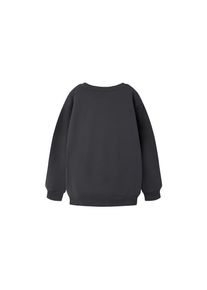 name it Pullover FESI TSWIFT Pullover
