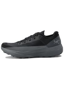 Arc'teryx Arcteryx Norvan LD 4 Trailrunningschuhe Damen (Gr 36 |grau)