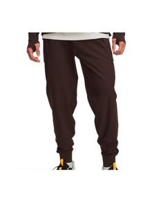 Under Armour Trail Run Pants Laufhose Herren (Gr L |braun)