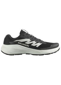 Multisportschuhe Salomon Alphaglide Herren (Gr 43 1/3 |grau)