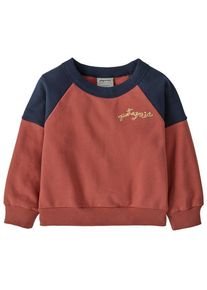 Patagonia Baby Crew Sweatshirt Pullover Kids (Gr 2 Years |rot)