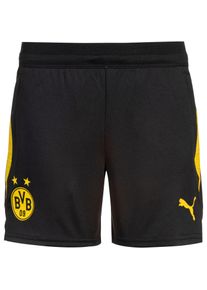Puma Borussia Dortmund Shorts Kinder - schwarz - Gr. 164 - Polyester